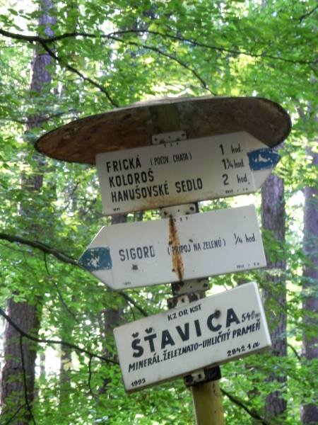 Minerálny_prameň_Sigord_Šťavica_18_Slovakia7.jpg