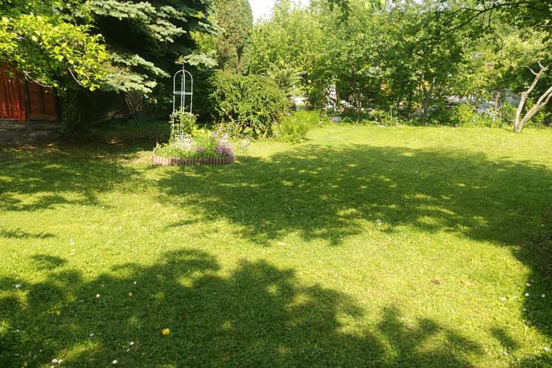 Kvetinová záhrada so slnečnými lúčmi.png