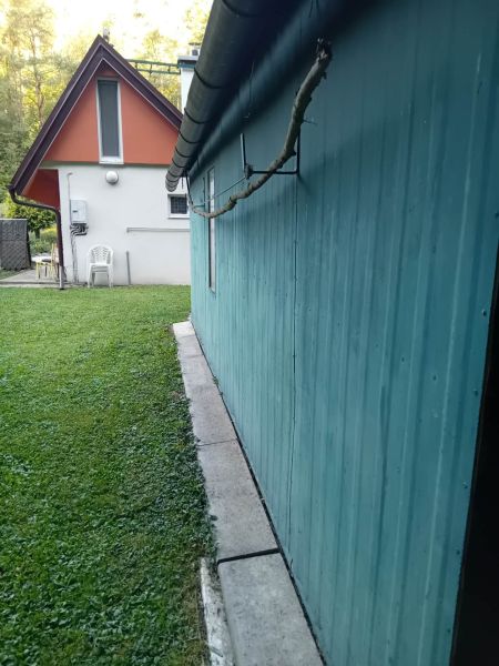 1000033817.jpg