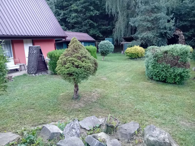 1000033758.jpg