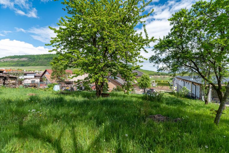 Hlavna-21.jpg